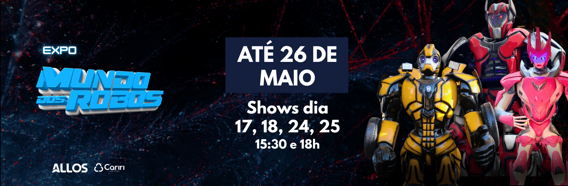 Copia de rotativo desktop.png